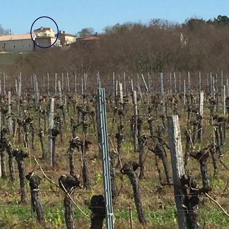Superbe Gite A La Campagne Dans Le Bordelais Saint-Vivien-de-Blaye Екстер'єр фото