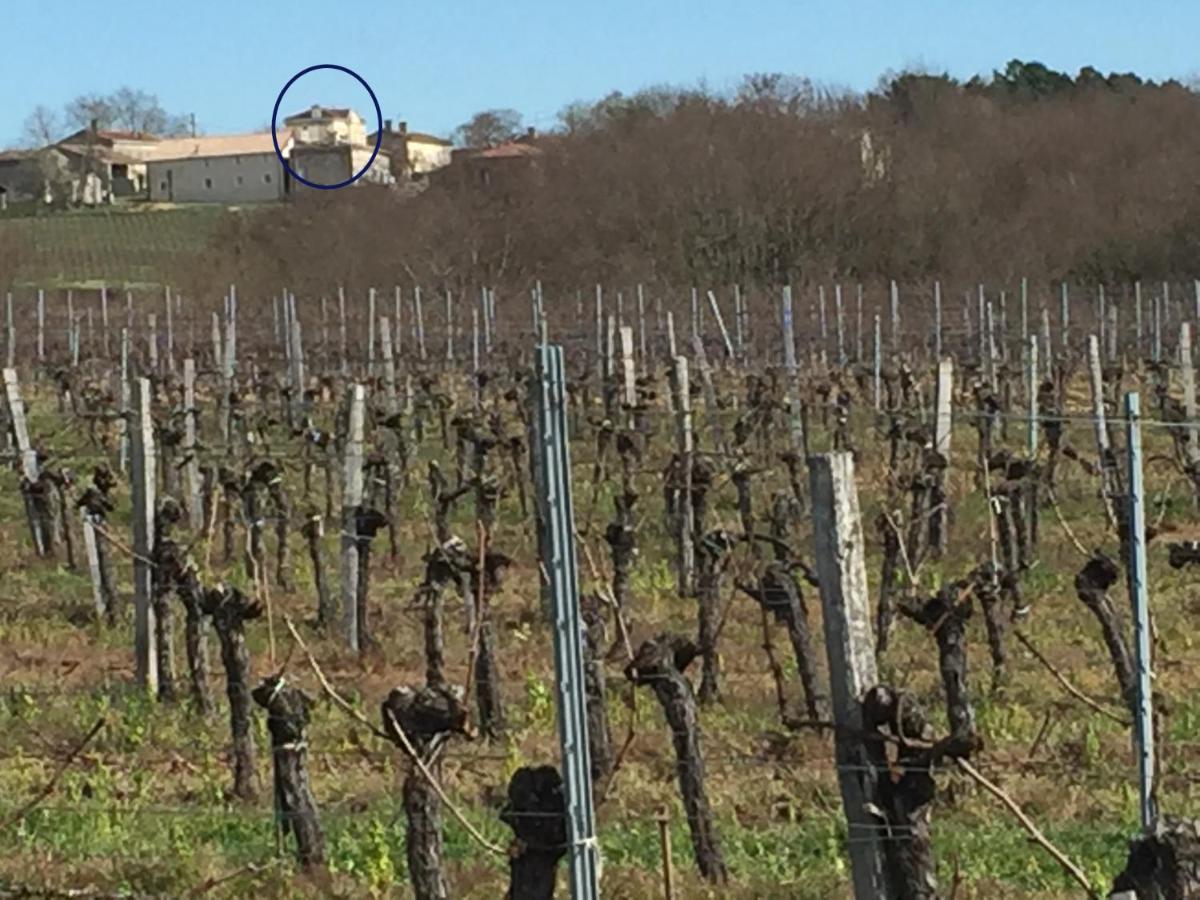 Superbe Gite A La Campagne Dans Le Bordelais Saint-Vivien-de-Blaye Екстер'єр фото